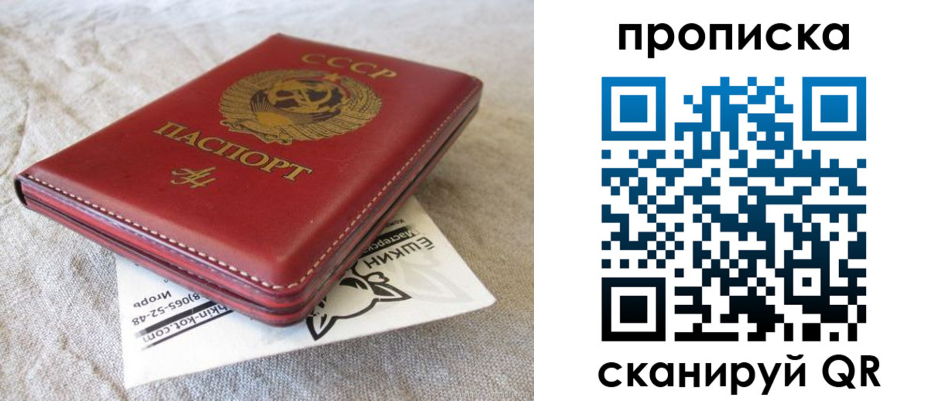 прописка для школы в Ессентуках